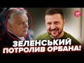 ⚡️Щойно! Зеленський РОЗНІС Орбана ПРИ ВСІХ. ЖОРСТКА відповідь на дзвінок Путіну, заява РВЕ МЕРЕЖУ