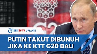 Presiden Rusia Vladimir Putin Tak Datang KTT G20 di Bali karena Takut Dibunuh dan Dipermalukan