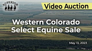 Western Colorado Select Equine Sale