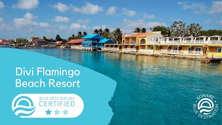 DIVI FLAMINGO BEACH RESORT is Blue Destination CERTIFIED⭐!