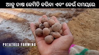 ଆଳୁ ଚାଷ କେମିତି କରିବା ଏବଂ କେଉଁ ସମୟରେ || How to start Potatoes farming