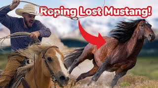 We Try to Catch a Wild Mustang! (Again)