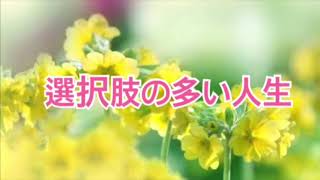 選択肢の多い人生【全盲の運波セラピスト松島みゆき】