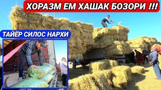 СИЛОС, КУНЖАРА, КЕПАК, ШРОТ, СОМОН, ХОРАЗМ ЕМ ХАШАК БОЗОРИ УРГАНЧ ГОЙБУ 24-сентябрь 2023 г.