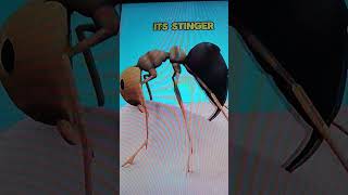 Stay AWAY From Fire Ants #viral