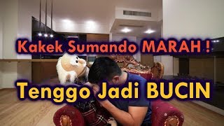 #NgobrolBarengTenggo Kakek Sumando MARAH Tenggo jadi BUCIN