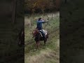 horseback archery