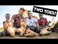 24h with the OSTRICH FOOTED TRIBE of Zimbabwe