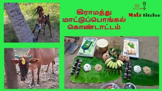 கிராமத்து மாட்டுப்பொங்கல் வழிபாடு | Pongal Celebration | VLOG Mals Kitchen