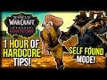 1 Hour Of Hardcore WoW Tips For SELF FOUND Mode! | Classic WoW