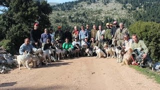 ΑΓΩΝΑΣ ΣΕ ΟΡΕΙΝΗ ΠΕΡΔΙΚΑ ΣΤΟ ΠΑΝΑΧΑΙΚΟ 22\u002623 ΜΑΡΤΙΟΥ 2014