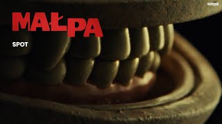 MAŁPA | Recenzje | Kino Świat