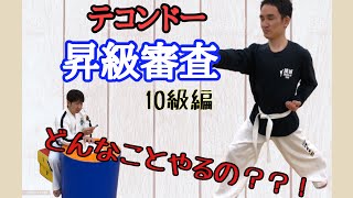 【テコンドー昇級審査】実際やってみましたらこんな感じ！