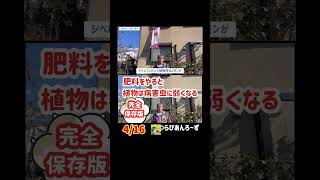 【4/16】肥料をやると植物は病害虫に弱くなる