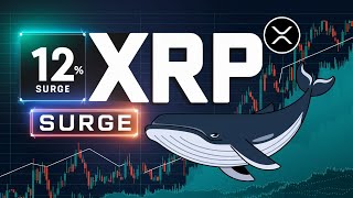 XRP Surges 12%: Whale Accumulation \u0026 ETF Speculation Fuel Price Rally!\