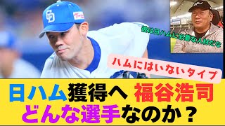 【素晴らしいFA】日本ハムが獲得に乗り出すことを発表した中日 福谷浩司投手について考察していきます。　【なんJ反応】【2chスレ】【プロ野球反応集】