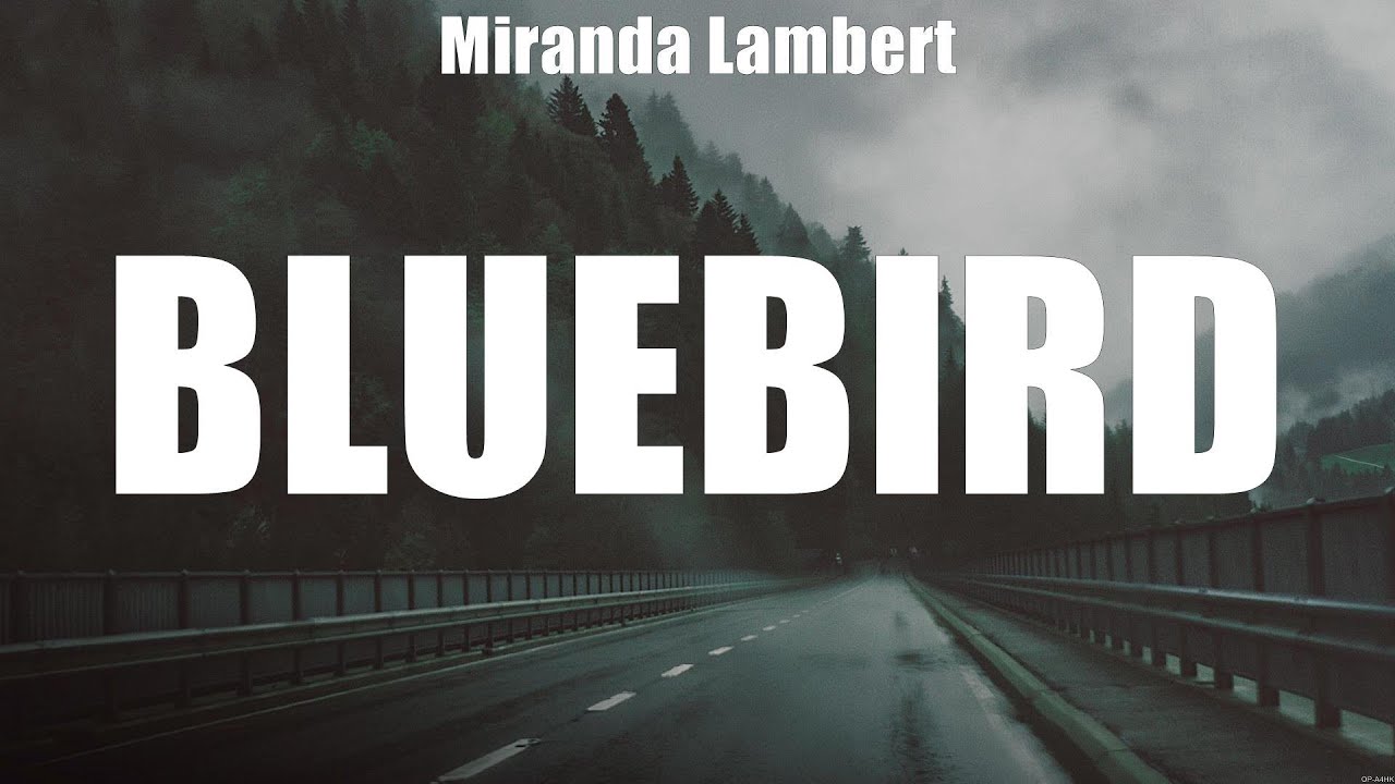 Miranda Lambert - Bluebird (Lyrics) Circles Around This Town, I'm Gonna ...