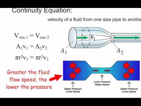 Bernoulli's Principle Experiment Pdf Download