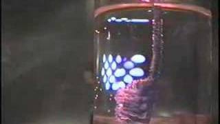 Alien 5 Part 1
