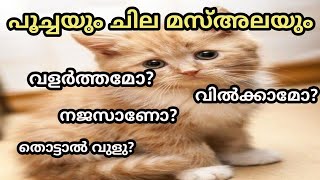 പൂച്ച നജസാണോ /The cat and najas in islam