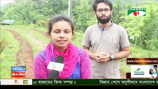 বিদেশী গাছপালার প্রতি আগ্রহে বিলিন হয়ে যাচ্ছে দেশীয় ঔষধি গাছ