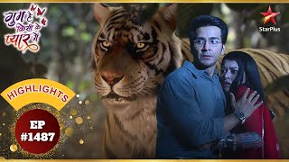 Neil And Tejaswini Vs Tiger! | Ep.1487 | Highlights | Ghum Hai Kisikey Pyaar Meiin | Mon-Sun | 8PM