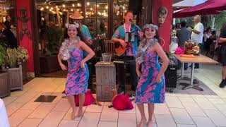 Hula Winter Wonderland | Christmas Hula Dancers in Hawaii by Malu the Band