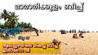 വിദേശ സഞ്ചാരികളുടെ പറുദീസ | Marari Beach | Mararikulam Beach | Things To Do In Alleppey | Vlog 38