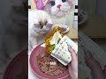 猫狗配餐｜ mja鸡兔，ve火鸡