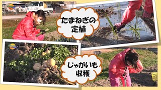 第２７２回ＪＡからつの特ダネ情報『特ダネFarm vol 18』