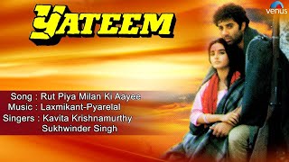 Yateem : Rut Piya Milan Ki Aayee Full Audio Song | Sunny Deol, Farah |