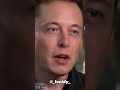 Elon Musk (Gangsta's Paradise)