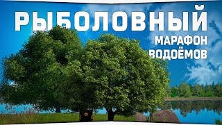 Рыболовный МАРАФОН • Русская Рыбалка 4