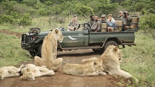AFRICAN SAFARI 4K | Incredible Big Five animal sightings (Kruger National Park)