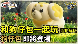 【Pokemon GO】全新寶可夢：狗仔包即將登場，還有為了對戰而生的麻花犬 | 孵蛋證一些注意事項 | 暗影雷吉斯奇魯異色開放 | 寶可夢GO(CC字幕) | Ep.210