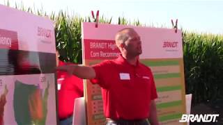 BRANDT Agronomy Update: High-Yield Corn Demonstration