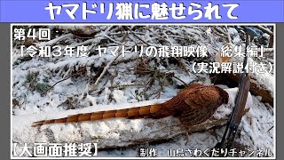 ヤマドリ猟に魅せられて 第４回 令和３年度猟期 ヤマドリの飛翔映像 総集編 (山鳥猟) Copper Pheasant hunting