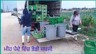 work in cyprus/ਅੱਜ ਮੀਹ ਬਹੁਤ ਜਿਅਾਦਾ ਅਾੲੀਅਾ ਸਾਰੀਅਾ ਸਬਜੀਅਾ ਦੀ ਕਰੀ ਤੜਾੲੀ #Reshampendu