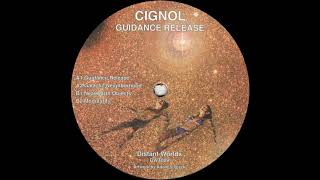 Cignol - Guidance Release [DWT009]