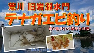 【荒川】テナガエビ釣り「旧岩淵水門 釣り場ポイント＆料理」健啖隊ネット隊員（y.katsu)