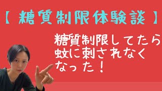 【糖質制限体験談】糖質制限してたら蚊に刺されなくなった話。   When I restricted carbohydrates, mosquitoes stopped biting me.