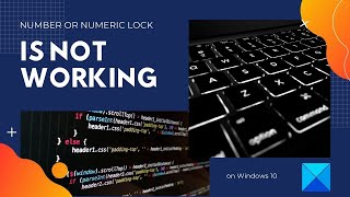 Number or Numeric Lock is not working on Windows 10