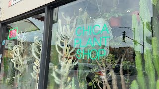 Plant Shopping in Chicago Chica Plant shop