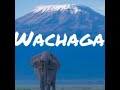 Wachaga| Ukweli kuhusu tabia zao| kabila kubwa| wasomi| chini ya mlima Kilimanjaro