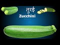 100 vegetables name english mein indian vegetables names in hindi and english with pictures