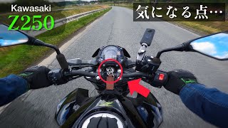 オーナー視点でZ250の気になる点を全て吐きます【実燃費〇〇km/L】