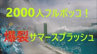 鴨川シーワールド２０１８　シャチパフォーマンス２１５　GoProで爆裂サマースプラッシュを４Ｋで撮ってみた　killer whale show