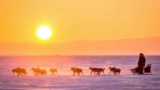 Alaska Dispatch - News and Voices from the Last Frontier