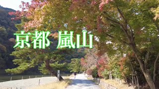 2021年11月2日（火）紅葉が進む京都嵐山の風景🍁 Touring Kyoto 渡月橋〜亀山公園