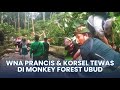 🔴Detik-detik 2 WNA Tewas Tertimpa Pohon Tumbang di Monkey Forest Ubud, Wisawatan Lari Ketakutan